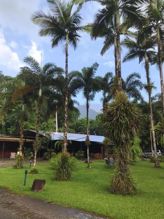 Villa Daintree Siesta à Diwan Extérieur photo