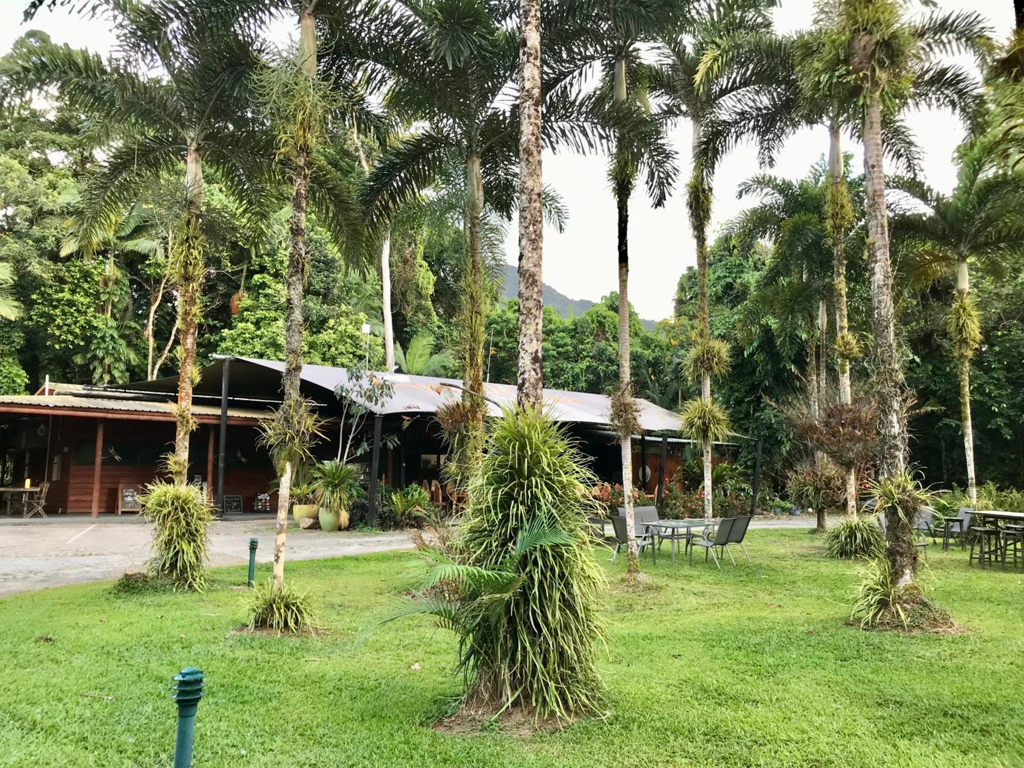 Villa Daintree Siesta à Diwan Extérieur photo